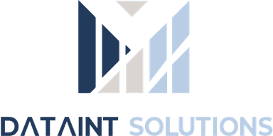 DataINT Solutions Logo