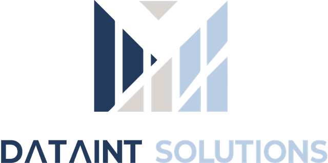DataINT Solutions